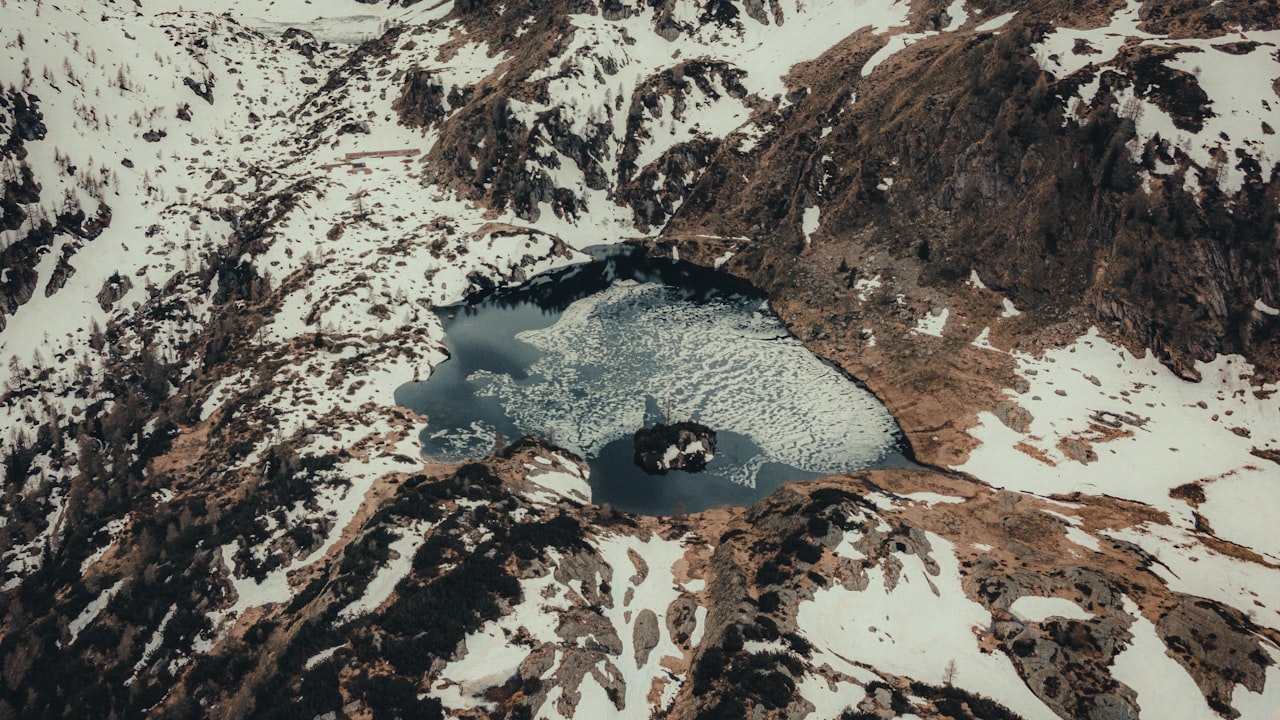 Key Reasons To Utilize Alumni Management Software For Your Alumni Relations