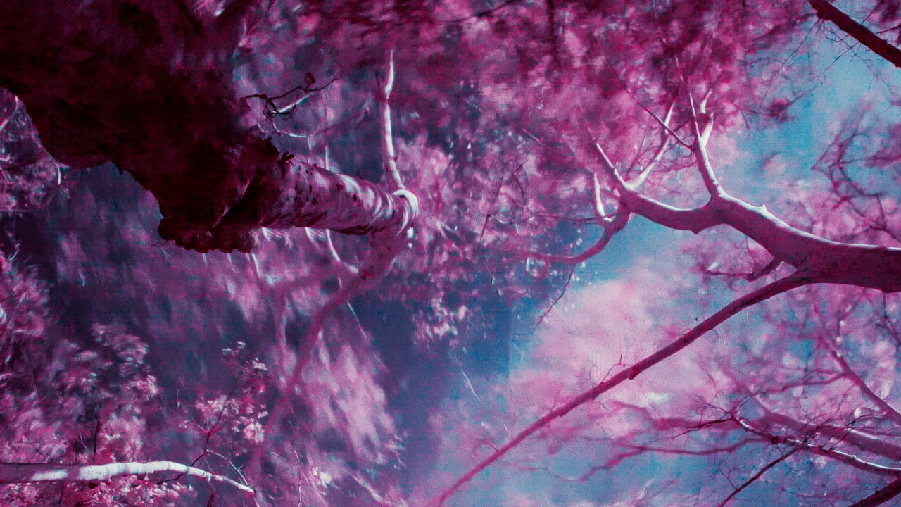 Is It Worth It To Buy Shoe Cover Dispenser