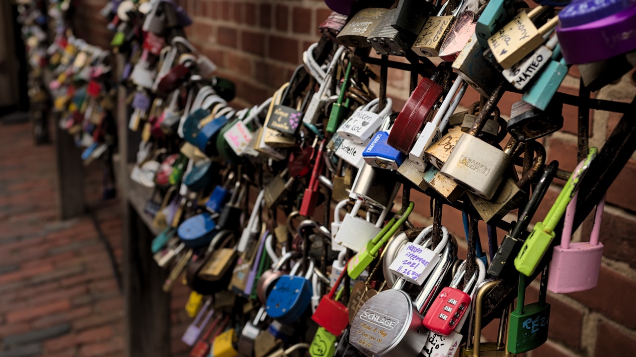 What are the Different Types of Biometric Padlocks?