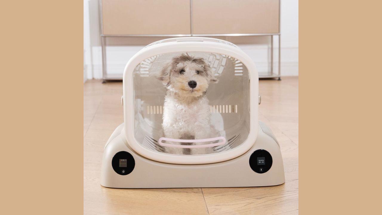 Say Goodbye to Wet Messes: The Rewards of Employing a Pet Drying Unit