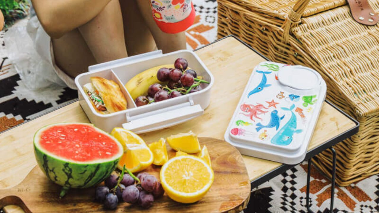 Why Everyich Plastic Bento Boxes Are Perfect for Kids and Adults